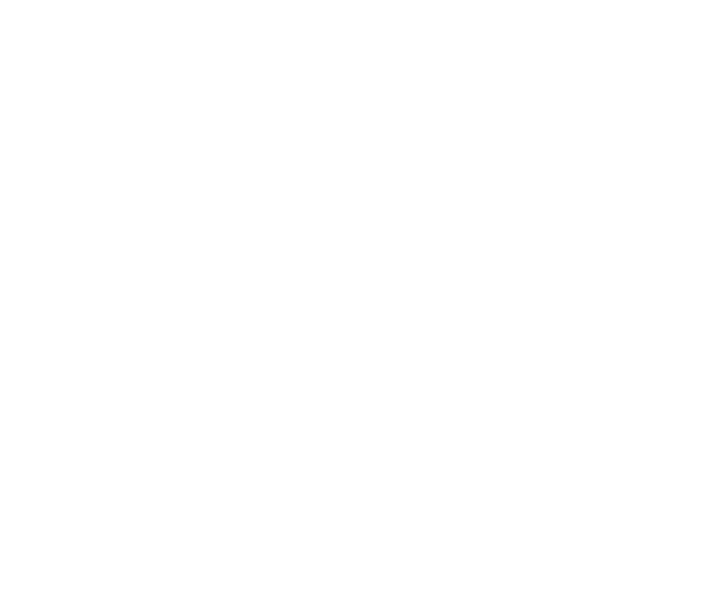 Organik Çubuk Turşusu