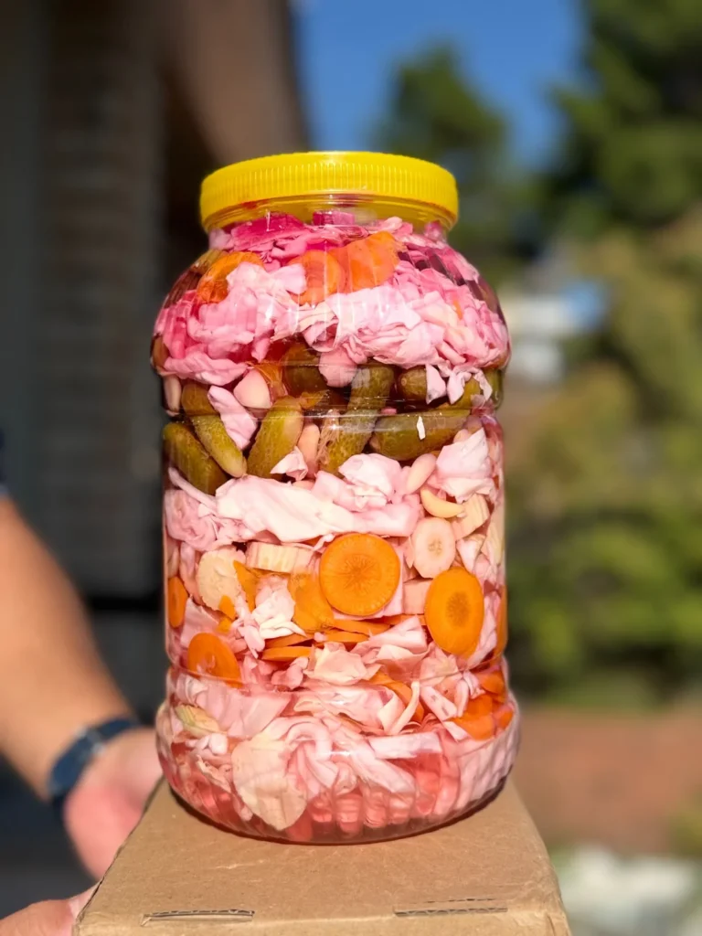 Kornişon, lahana, havuç ve sarımsaklı pembe renkli karışık Çubuk turşusu kavanozu