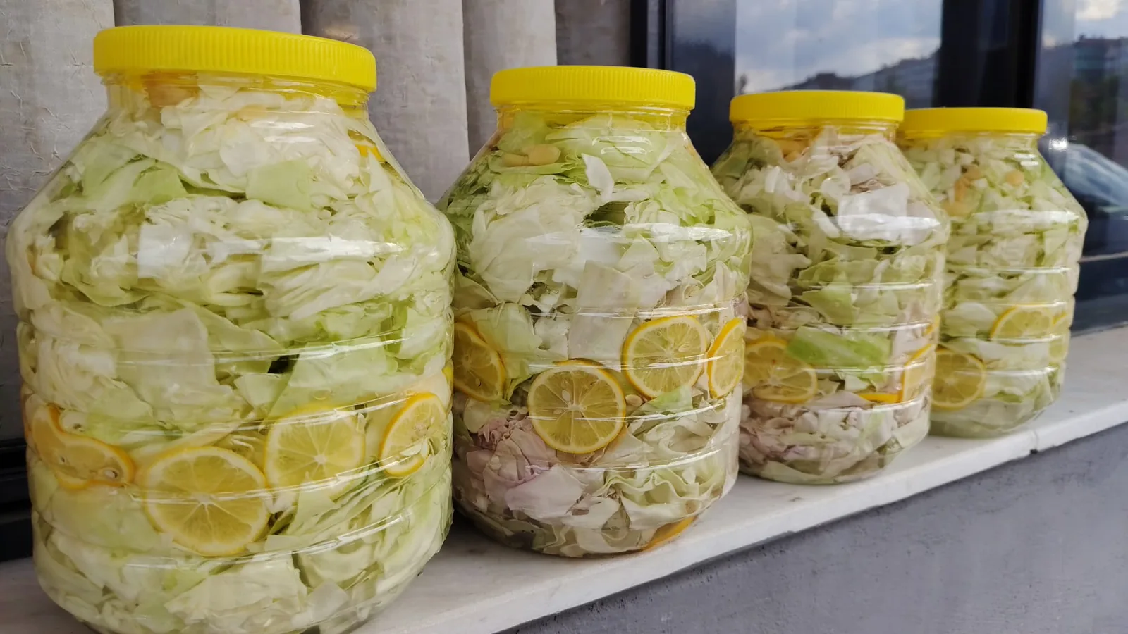 Limon dilimleriyle kurulmuş dört kavanoz beyaz lahana turşusu